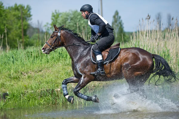 Eventer a caballo supera el salto de agua — Foto de Stock