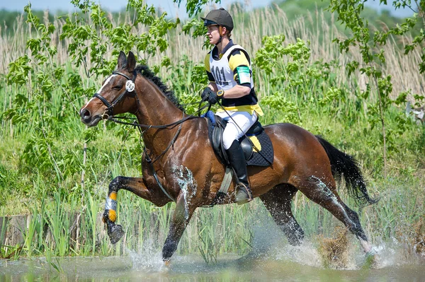 Eventer no cavalo é supera o salto de água — Fotografia de Stock