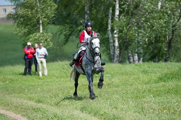 馬術スポーツ。馬の乗馬のギャロップに eventer — ストック写真