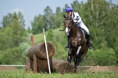 Cross-country fence. Disobedience horse clipart