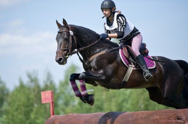 Equestrian sport. Woman eventer on horse negotiating cross-country Fixed obstacle Log fence clipart