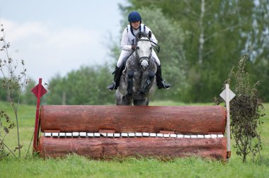 Equestrian sport.  Eventer on horse negotiating cross-country Fixed obstacle Log fence clipart