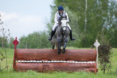 Equestrian sport. Woman eventer on horse negotiating cross-country Fixed obstacle Log fence clipart