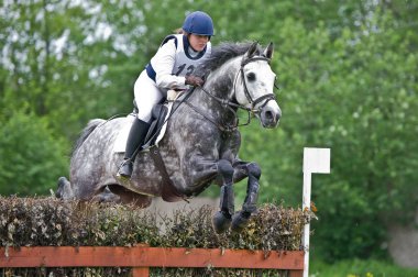 Equestrian sport. Woman eventer on horse negotiating cross-country Fixed obstacle Log fence clipart