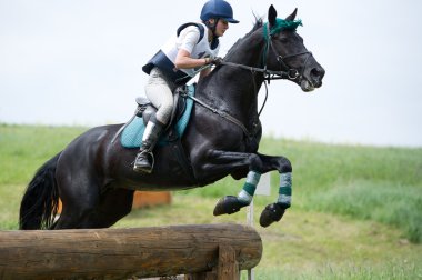 Equestrian sport. Woman eventer on horse negotiating cross-country Fixed obstacle Log fence clipart