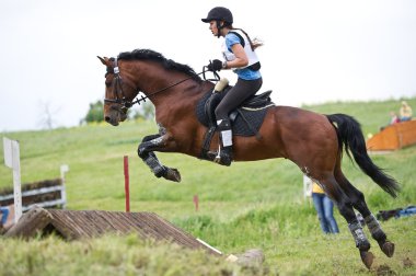 ιππικό άθλημα. eventer γυναίκα στη διαπραγμάτευση άλογο cross-country σταθερό εμπόδιο καταγραφής φράχτη