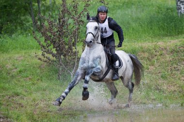 Eventer on horse negotiating Water jump clipart