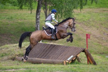 Equestrian sport. Eventer on horse riding gallop clipart