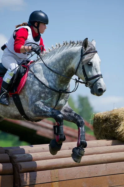 Woman eventer on horse is overcomes the Rolltop — Stock Photo, Image