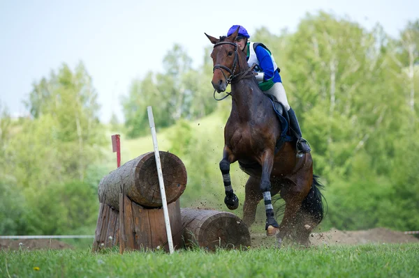 Cross-country. Disobedience (zakidka) horse — Stock Photo, Image