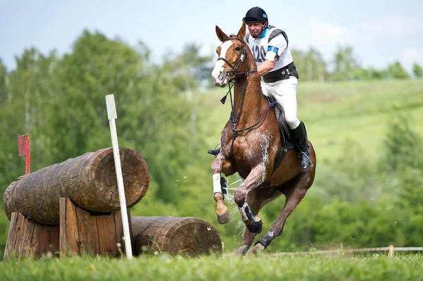 Cross-Country staket. olydnad häst — Stockfoto