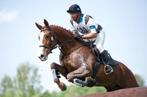 Desporto equestre. Eventer em cavalo negociando cross-country Obstáculo fixo Cerca de registro — Fotografia de Stock