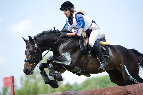 Lovas sport. nő lovas eventer a ló tárgyalási kereszt-counry kerítés napló kerítés — Stock Fotó