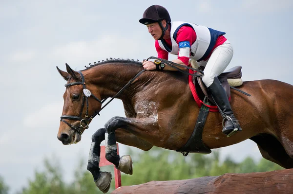 Desporto equestre. Eventer em cavalo negociando cross-country Obstáculo fixo Cerca de registro — Fotografia de Stock