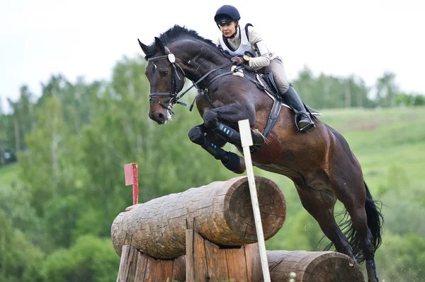 stock image Equestrian sport. Woman eventer on horse negotiating cross-country Fixed obstacle Log fence
