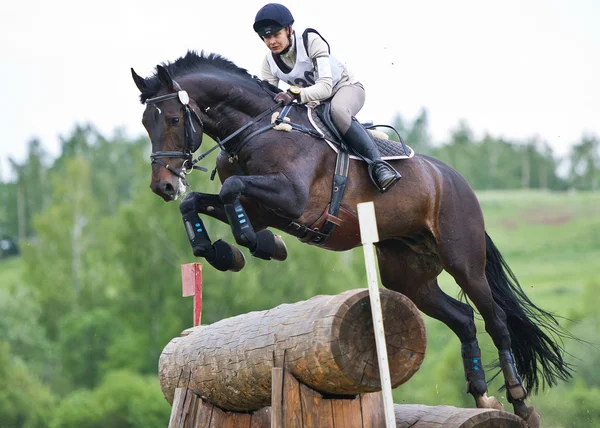Paardensport. vrouw eventer op paard onderhandelen cross-country vaste hindernis log hek — Stockfoto