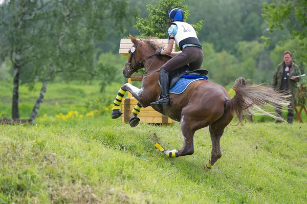 Eventer on horse is overcomes the Ski jump — Stock Photo, Image