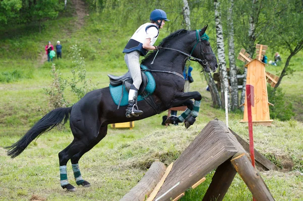 Deporte ecuestre. Eventer a caballo negociando cross-country Obstáculo fijo — Foto de Stock