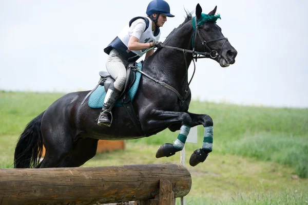 馬術スポーツ。馬の交渉の女性 eventer はクロスカントリー障害ログ フェンスを固定 — ストック写真
