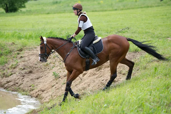 Прыгун на лошади преодолевает водный трамплин — стоковое фото
