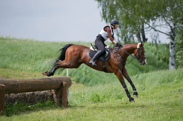 Equestrian sport.  Eventer on horse negotiating cross-country Fixed obstacle Log fence — Stock Photo, Image