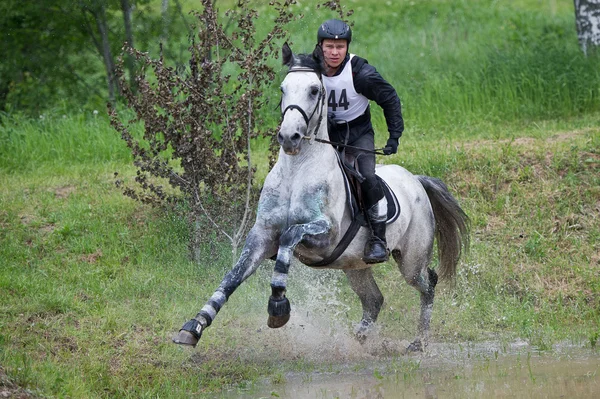 Stock image Eventer on horse negotiating Water jump