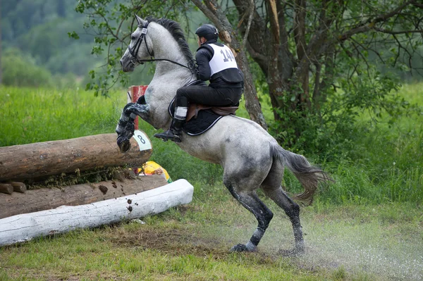 Eventer on horse is overcomes the Log fence — Stock Photo, Image