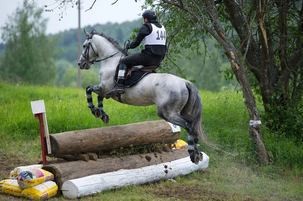 Eventer on horse is overcomes the Log fence — Stock Photo, Image