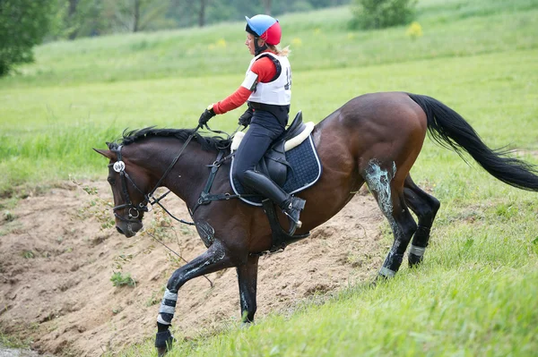 Cross-country. Unidentified rider on horse — Stockfoto