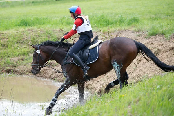 Cross-country. Unidentified rider on horse — Stockfoto