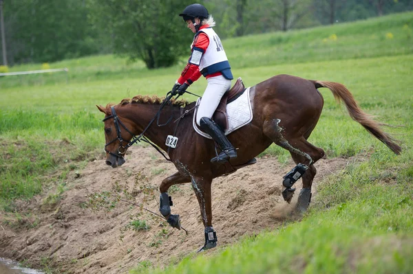 Eventer on horse is overcomes the cross-country fence — Stock Photo, Image