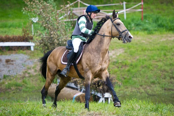 Paardensport. eventer op paard Paardrijden galop — Stockfoto