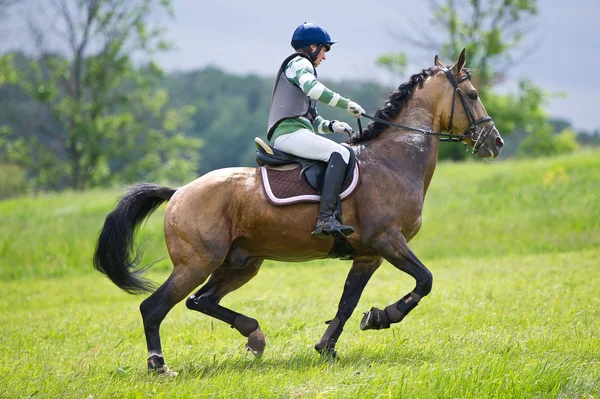 Jezdeckého sportu. eventer na kůň na koni tryskem — Stock fotografie