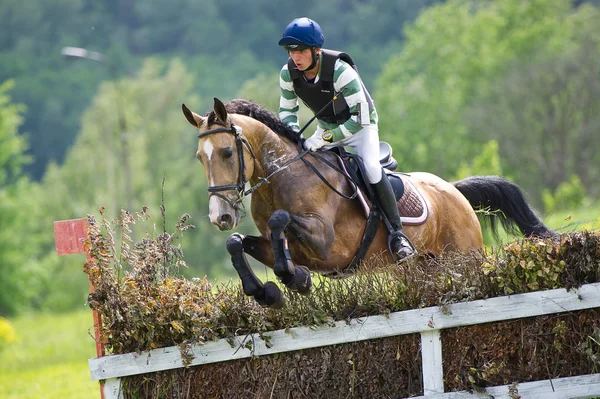Eventer à cheval est surmonte la clôture de cross-country — Photo
