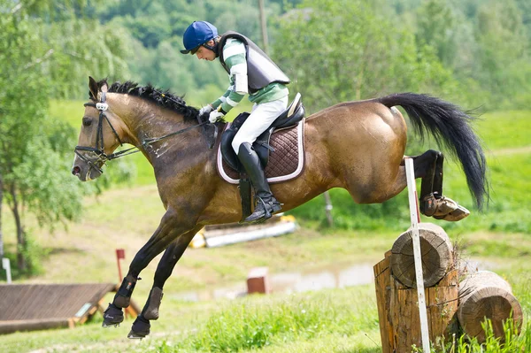 Equestrian sport.  Eventer on horse negotiating cross-country Fixed obstacle Log fence — Stock Photo, Image