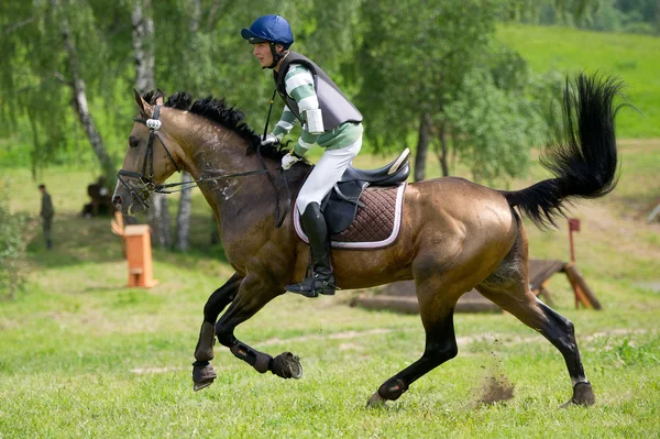 Equestrian sport. Eventer on horse riding gallop — Stock Photo, Image