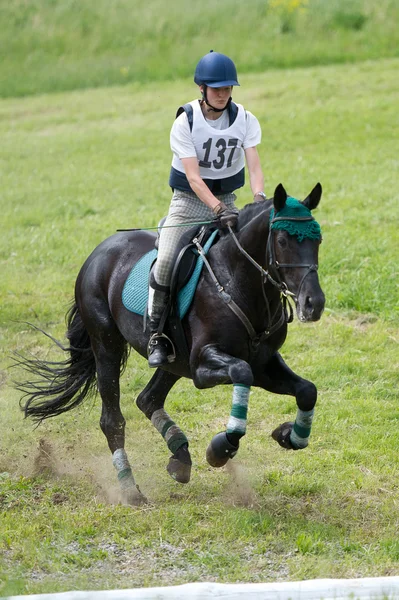 Rider fälttävlan på häst förhandlar cross-country staket öppet dike Stockbild