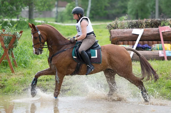Eventer a caballo negociando Salto de agua Fotos De Stock