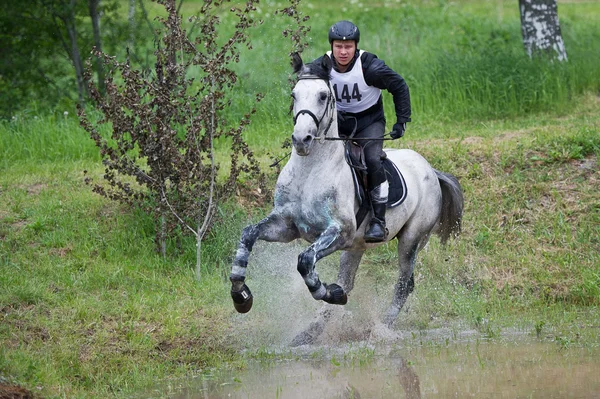 Fälttävlan på häst förhandlar vatten hoppa Royaltyfria Stockfoton