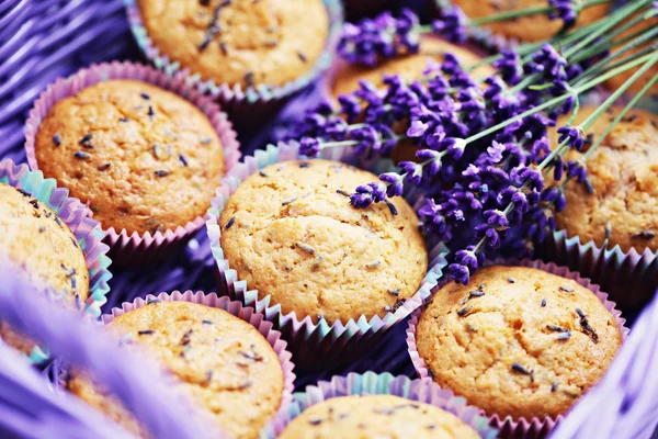 Lavendel muffins — Stockfoto
