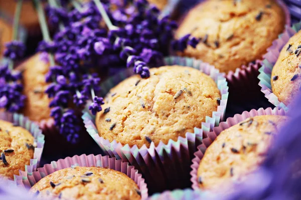 Lavendelmuffins — Stockfoto