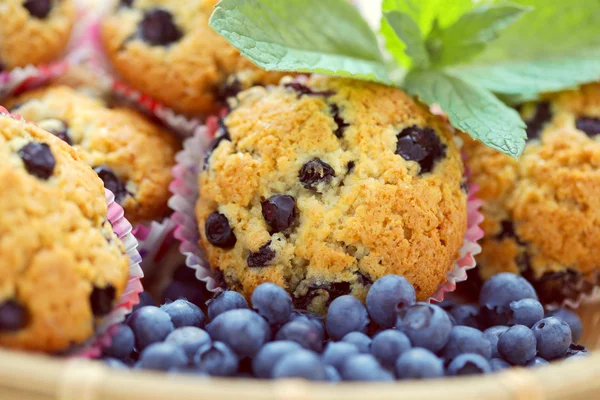 Mascarpone och blueberry muffins — Stockfoto