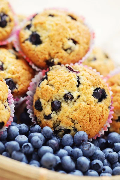 Mascarpone ve blueberry muffins — Stok fotoğraf