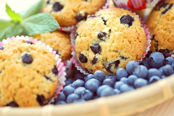 Muffins mascarpone et myrtille — Photo