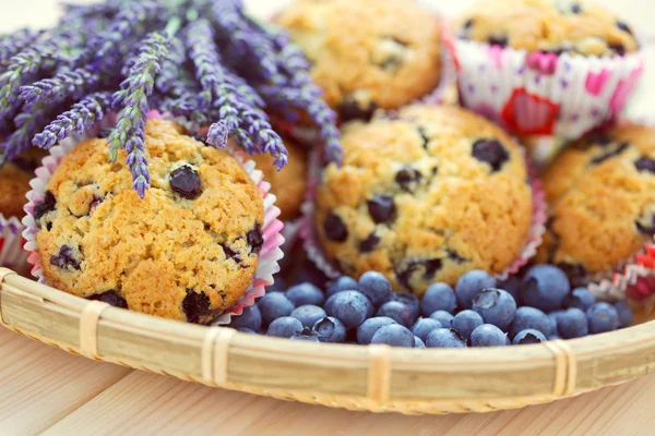 Mascarpone ve blueberry muffins — Stok fotoğraf