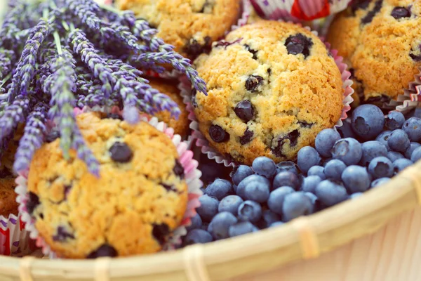 Mascarpone e muffins de mirtilo — Fotografia de Stock