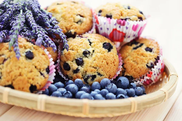 Mascarpone i blueberry muffins — Zdjęcie stockowe