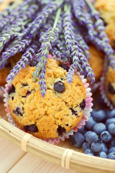 Muffins mascarpone et myrtille — Photo