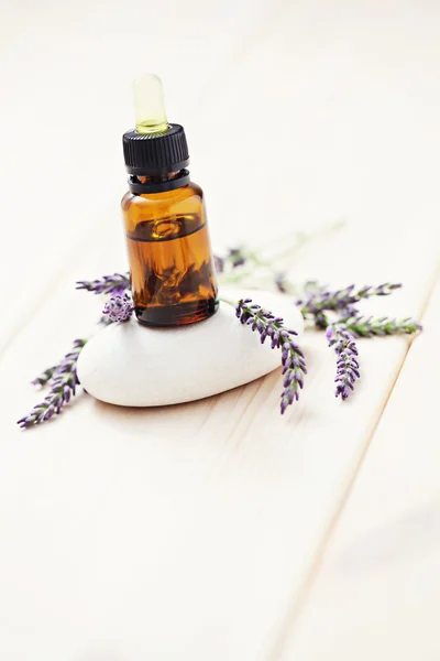 Lavender essential oil — Stock Photo, Image