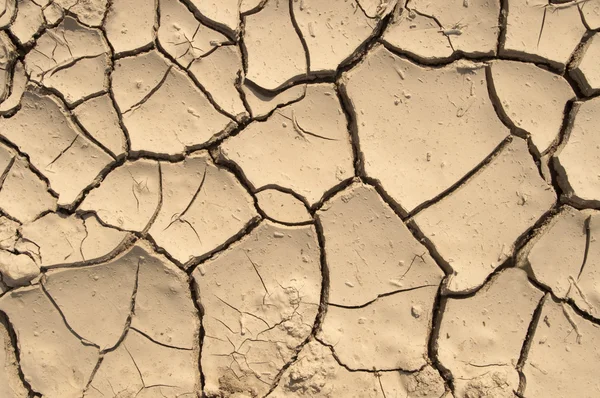 Dry ground texture — Stock Photo, Image